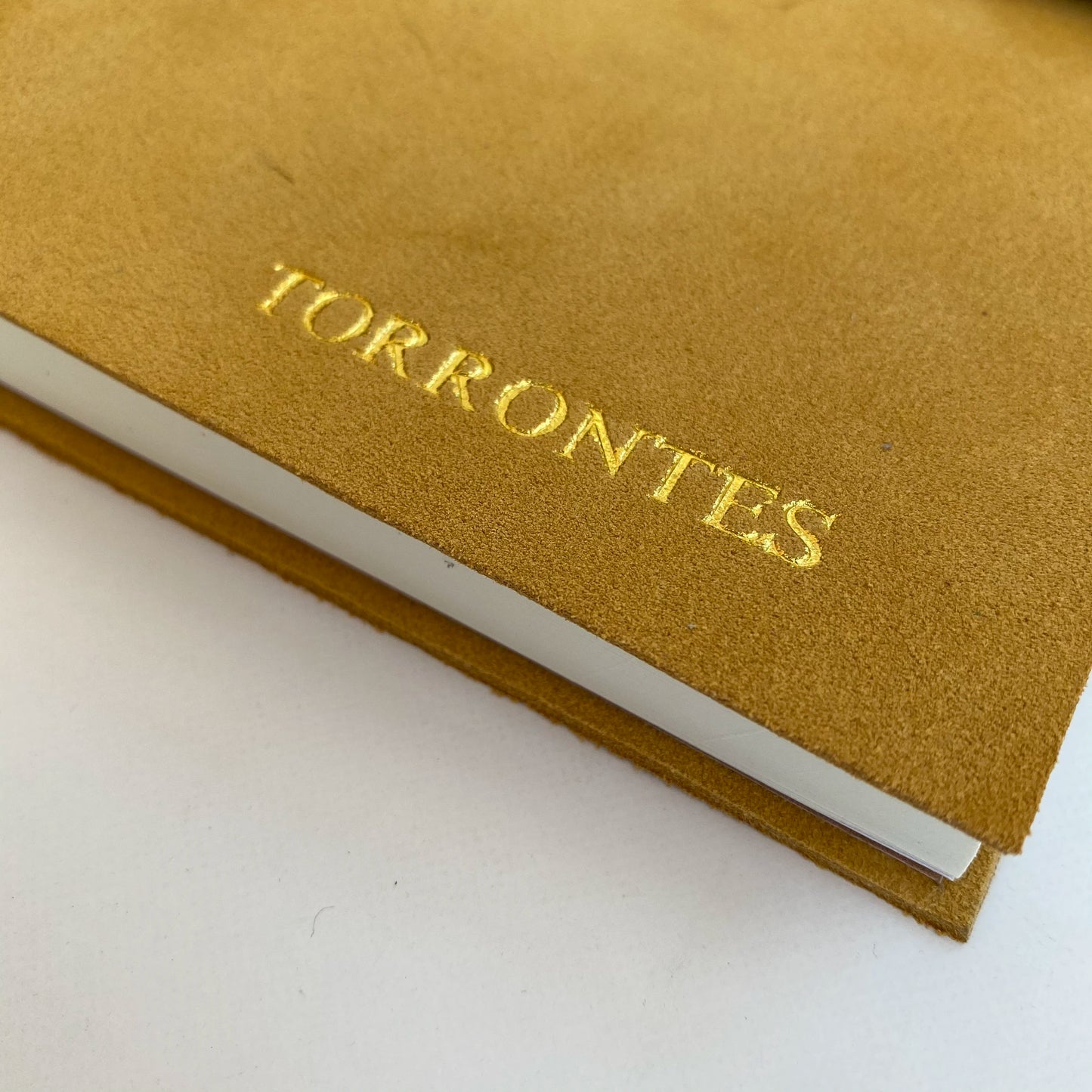Cuaderno de Cuero Gamuzado tonos pasteles